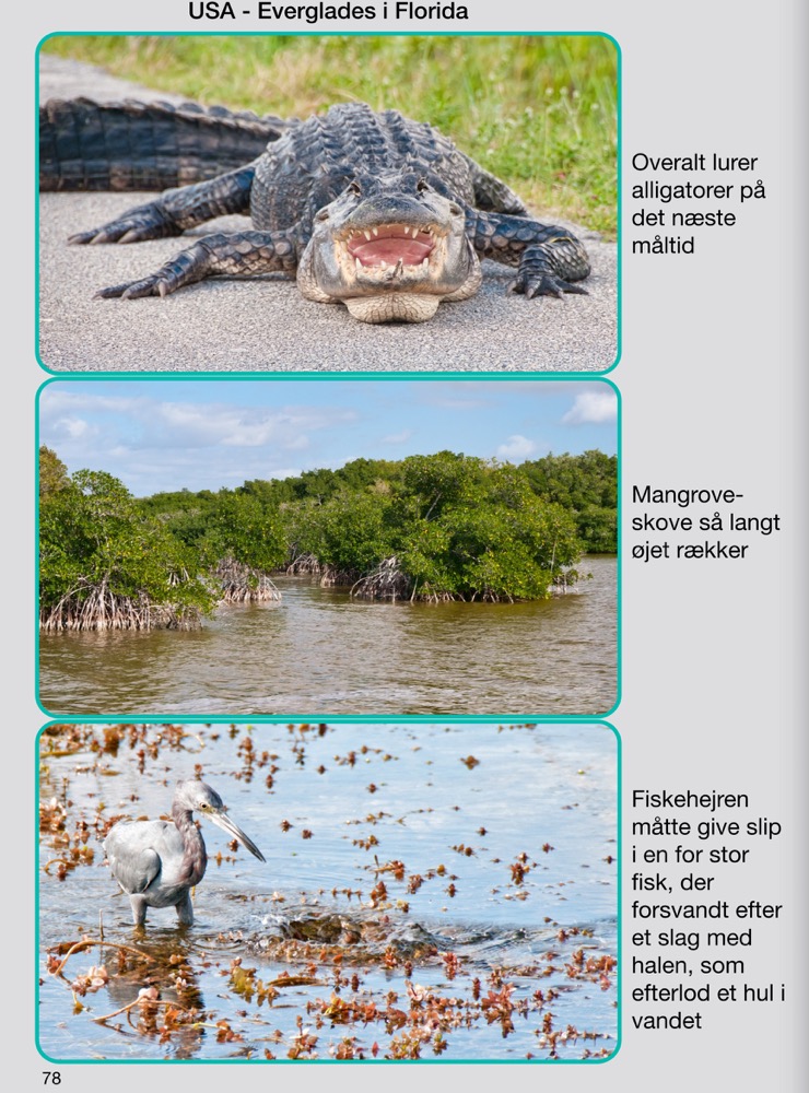 Verden rundt i 25 år-78.jpg